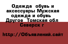 Одежда, обувь и аксессуары Мужская одежда и обувь - Другое. Томская обл.,Северск г.